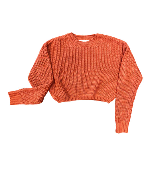 Burnt Orange Cropped Sweater