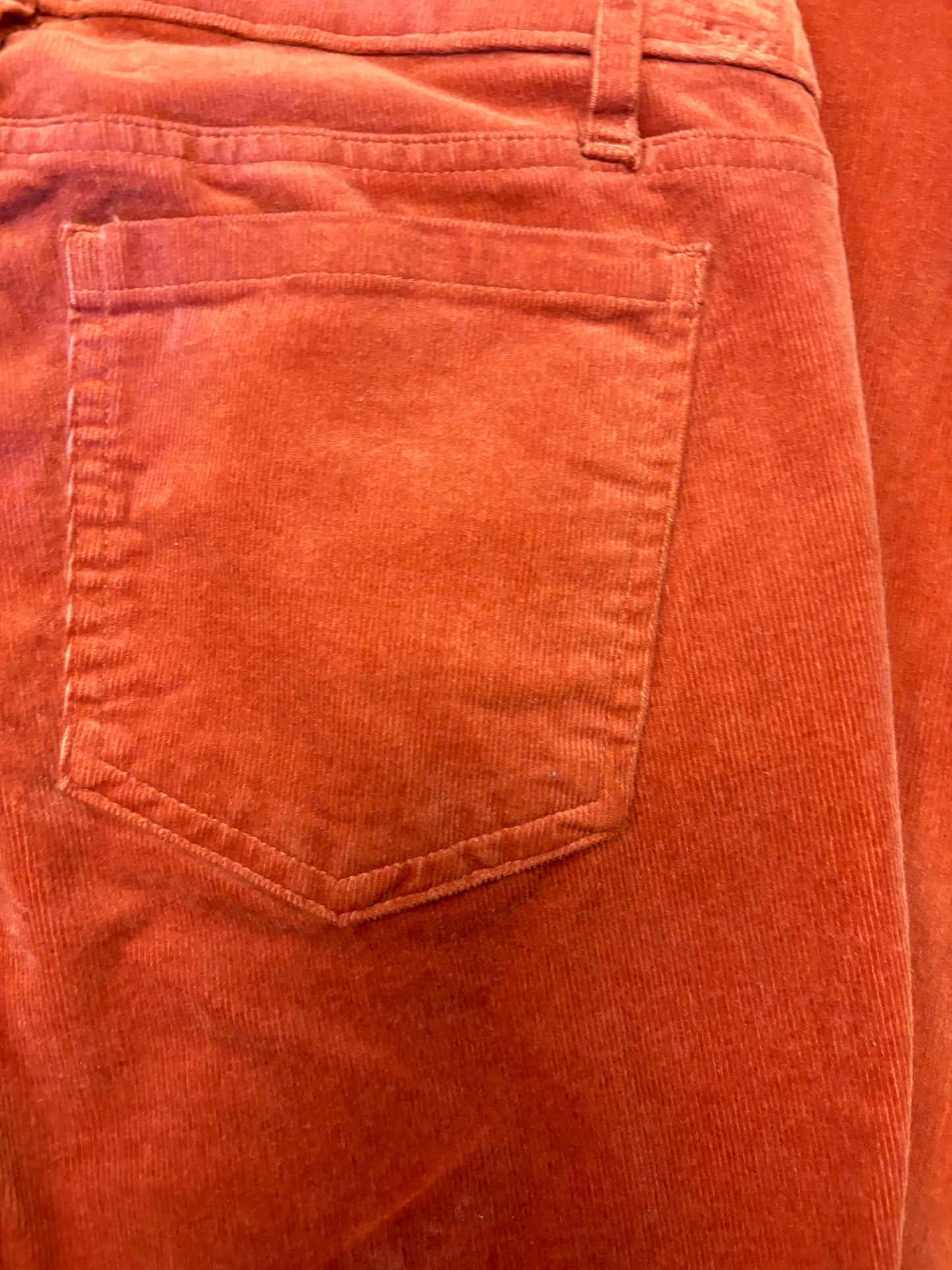 Burnt Orange Low Rise- Straight Flare Denim Jeans